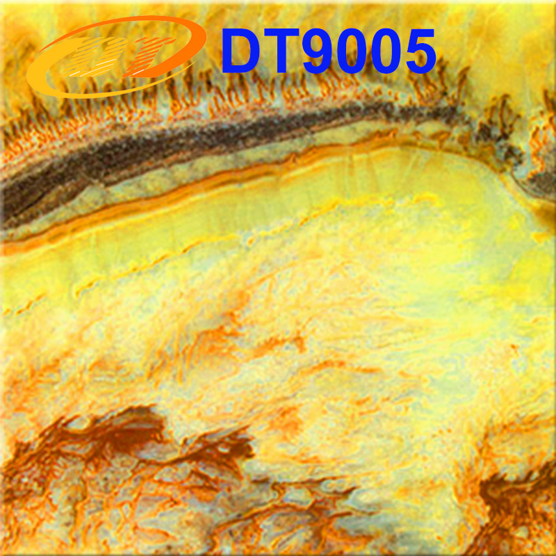DT9005